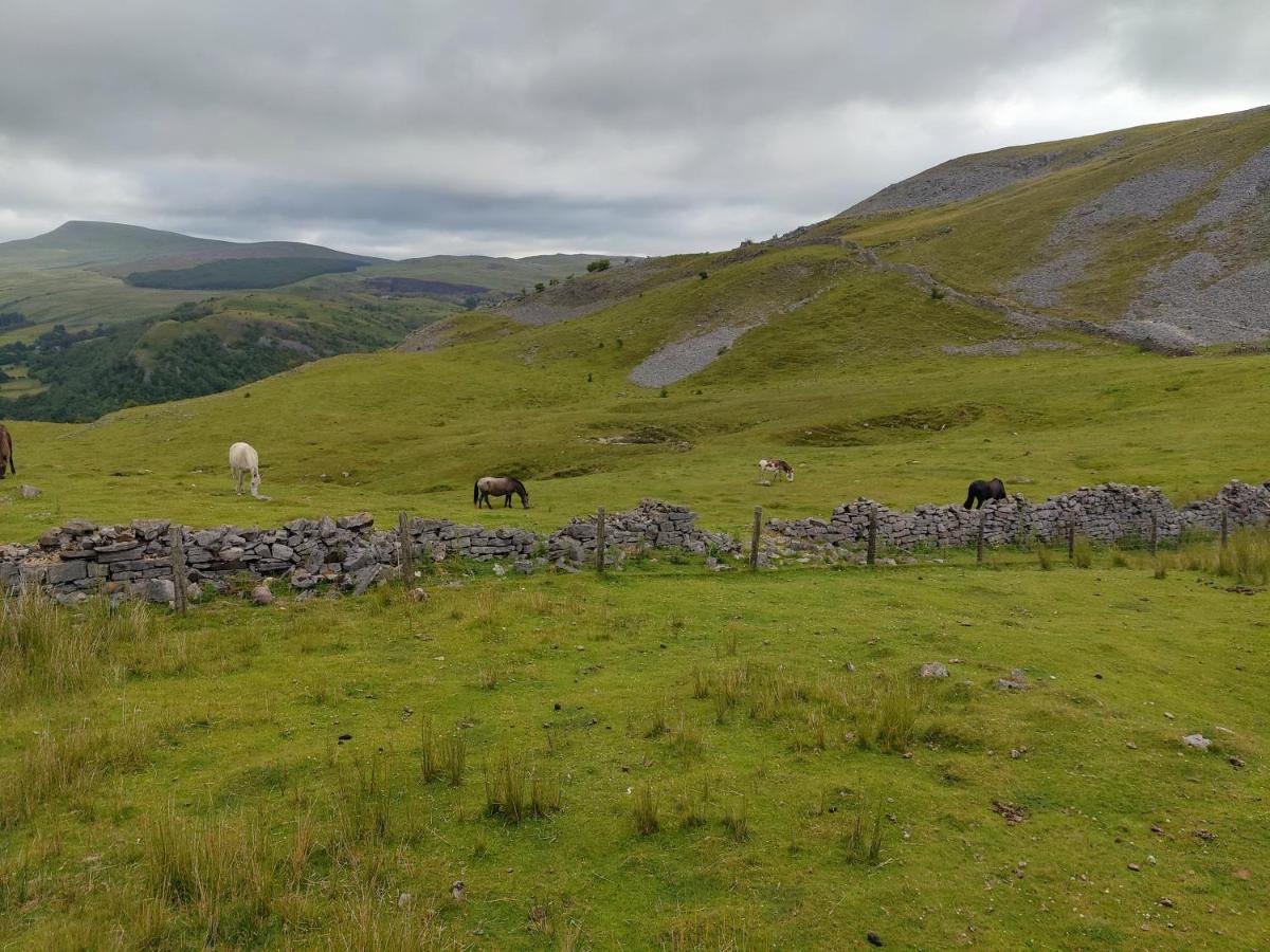 Pen-y-cae  Pentre Cottage Near Craig Y Nos المظهر الخارجي الصورة
